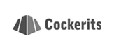 Cockerits | Stackser.nl